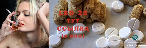 прущие крисы Алзамай
