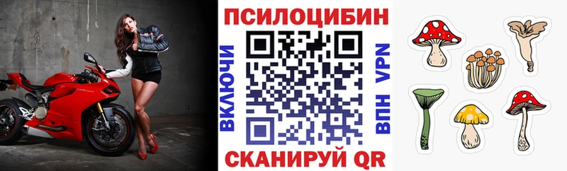Псилоцибиновые грибы GOLDEN TEACHER  как найти закладки  Выкса 